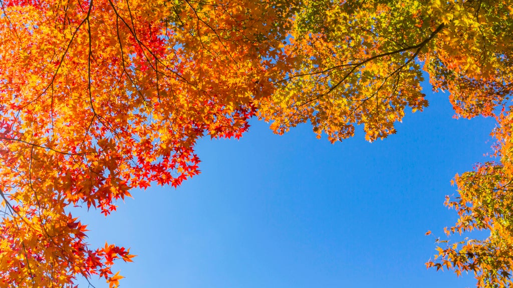 More near-record warmth Monday in Minnesota ahead of big cooldown — WCCO / CBS Minnesota, Columbia Heights Community news