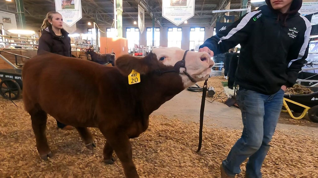 Spotlight on beef as Minnesota midterms near — WCCO / CBS Minnesota, Columbia Heights Community news