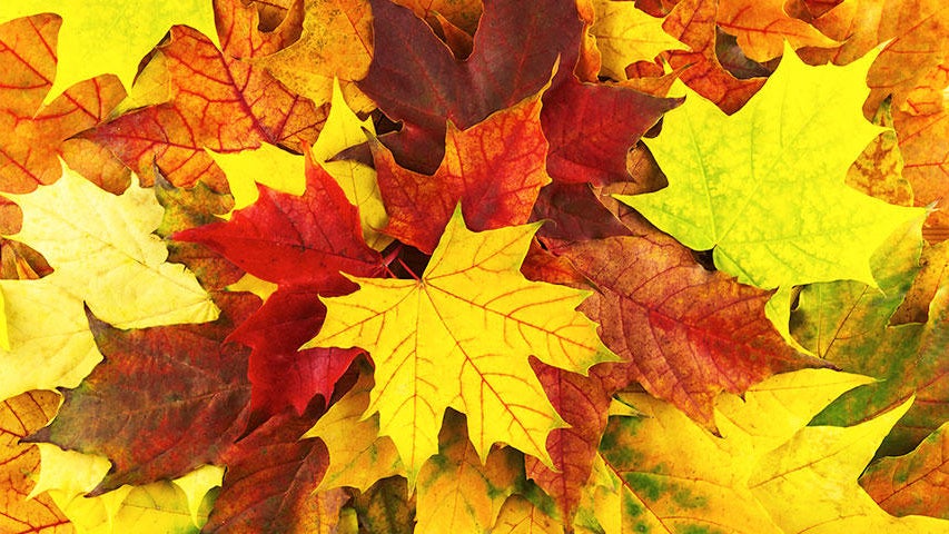 Cooler, quieter fall weather returns Tuesday in the Twin Cities — WCCO / CBS Minnesota, Columbia Heights Community news