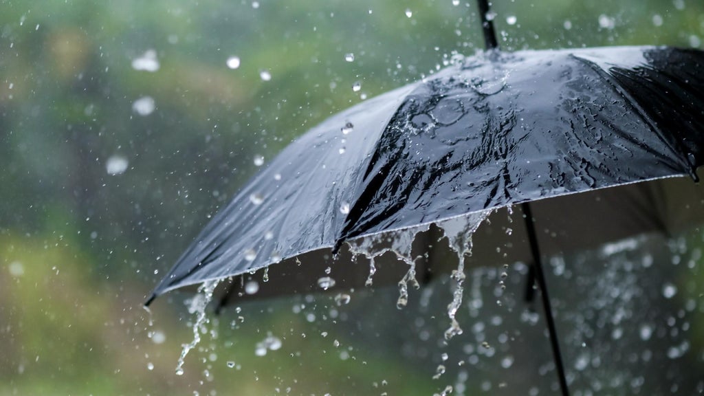 Widespread rain in Minnesota Monday; milder air returns Tuesday — WCCO / CBS Minnesota, Columbia Heights Community news