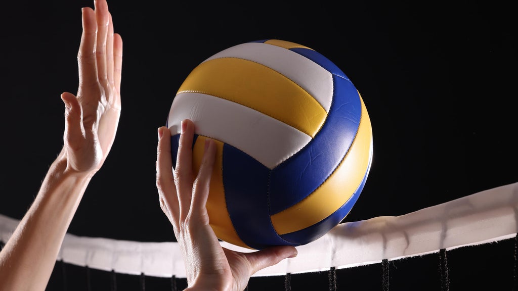 SeatGeek's first volleyball partner is the Minnesota Forge in a multiyear deal — WCCO / CBS Minnesota, Columbia Heights Business news