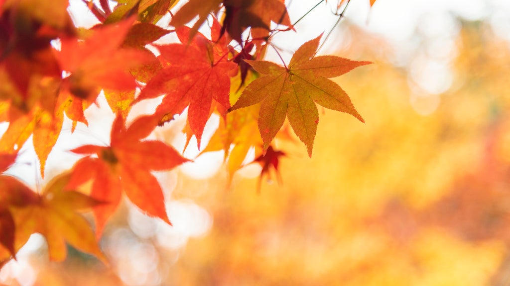 More sunny, mild late October weather in Minnesota Tuesday — WCCO / CBS Minnesota, Columbia Heights Business news