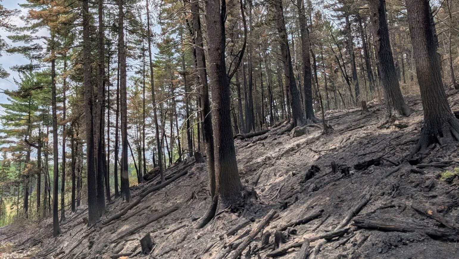 74-year-old who became separated from his family on a trail in Ely was discovered dead — KSTP 5, Columbia Heights Community news