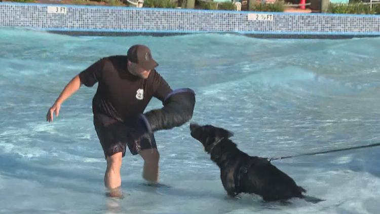 Tampa police K-9s train at theme park to prepare for emergencies — WTSP 10 Tampa Bay, Columbia Heights Community news