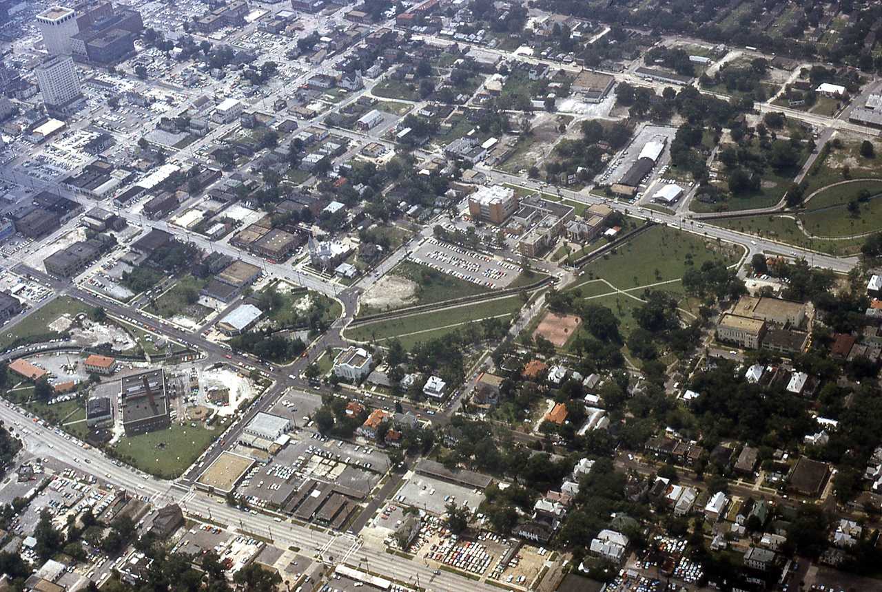 THE JAXSON | The oak tree that remembers Black Bottom — Jacksonville Today, Columbia Heights Schools news