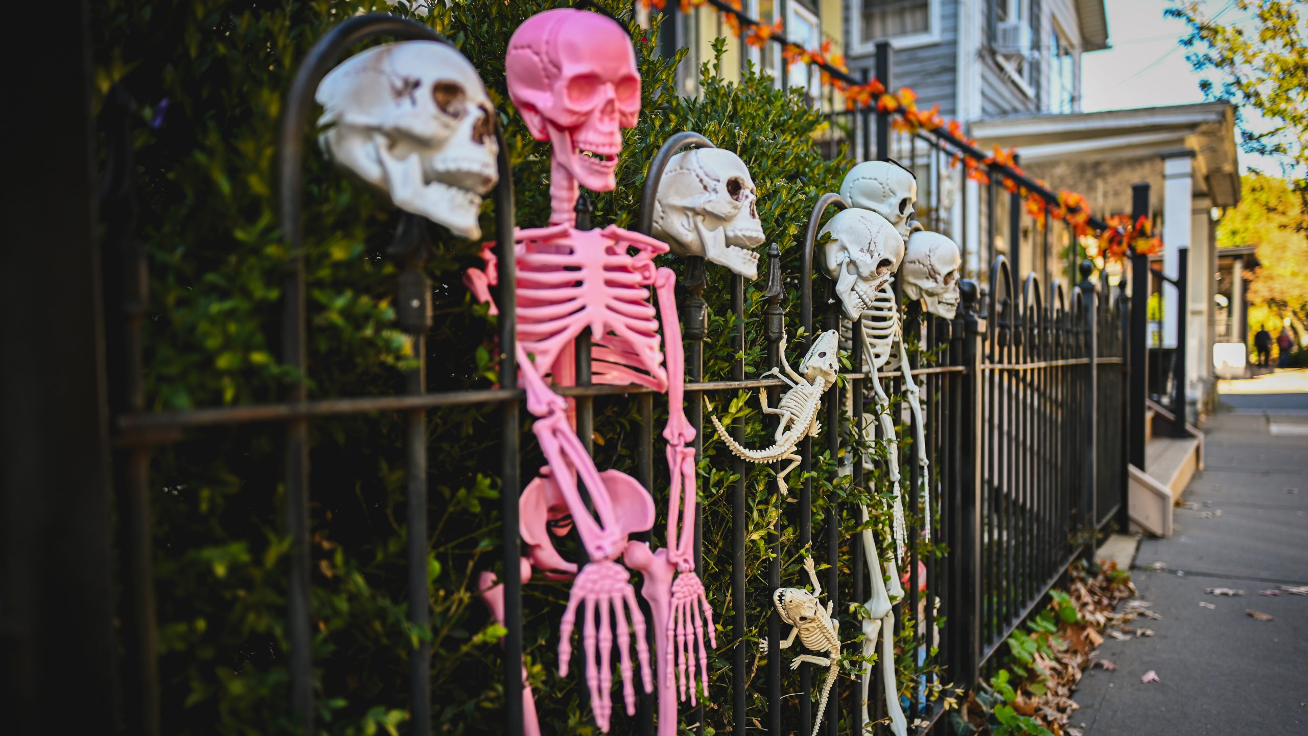 America's best cities for Halloween, ranked — FOX 9, Columbia Heights Community news