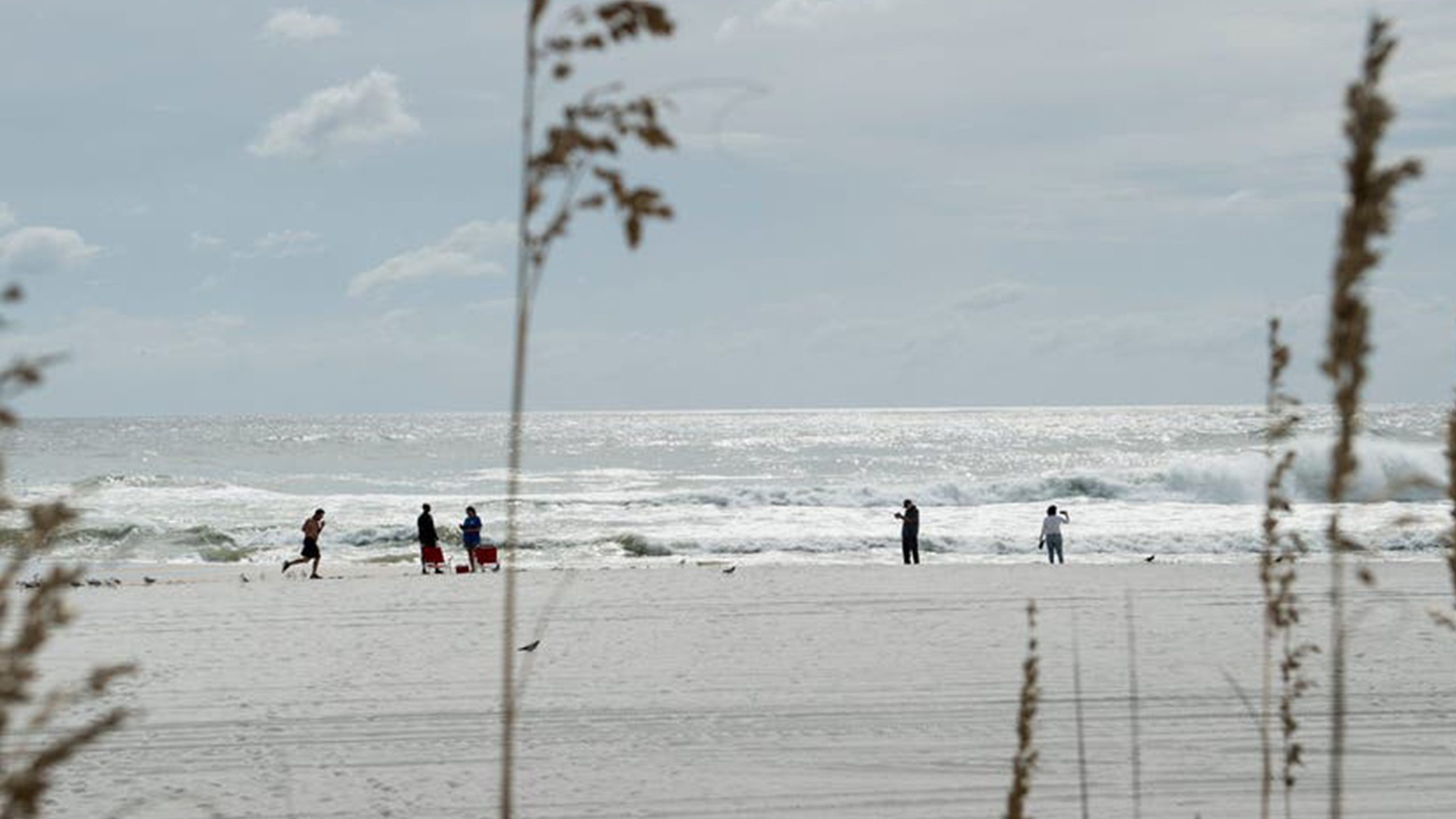 Father of 2 drowns after being caught in current trying to rescue seagull caught in fishing line — Columbia Heights Community news