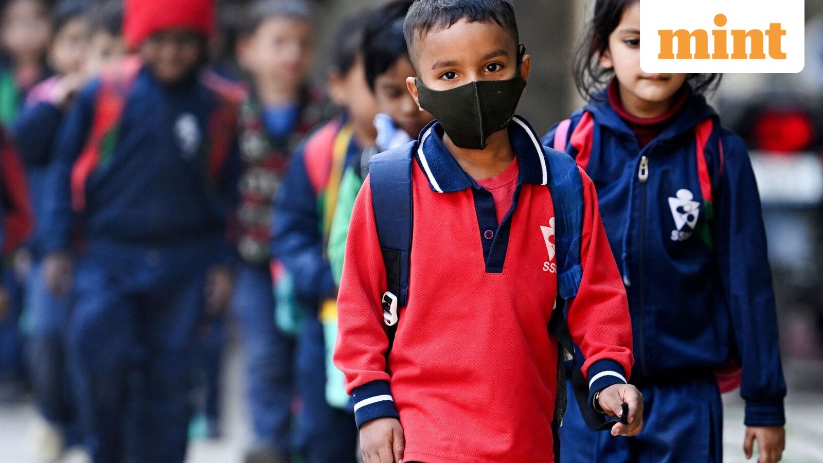 Chennai school holiday, Oct 21: Schools shut in four Tamil Nadu districts as heavy rains predicted | Check IMD alert — Mint India, Columbia Heights Schools news
